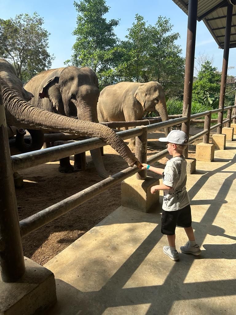 Королевство слонов на Самуи - Samui Elephant Kingdom