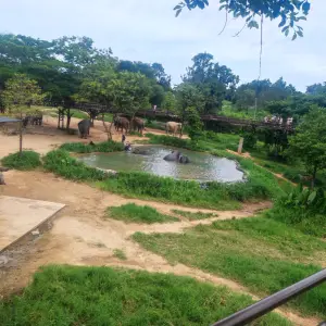 Фото от Свирко Андрей