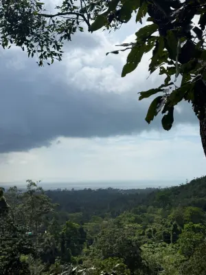 Photo by Tidarat Duangsri